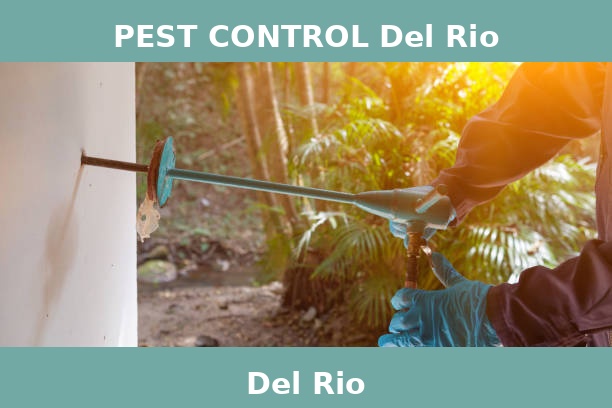 PEST CONTROL Del Rio